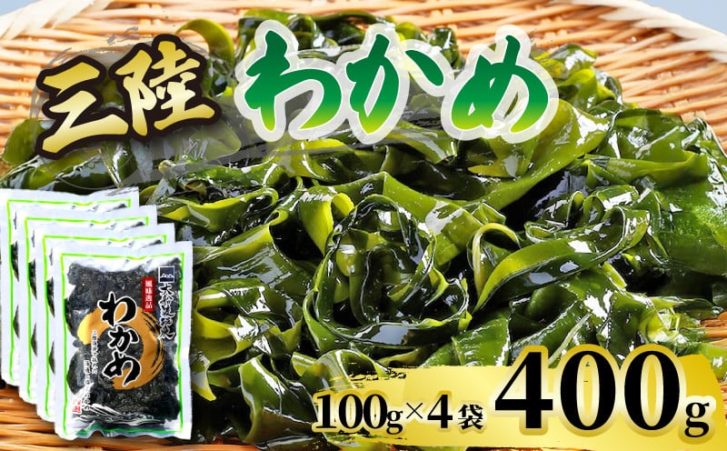 
            わかめ 400g ( 100g×4袋 )湯通し塩蔵わかめ 海鮮 海藻 魚貝類 魚介類 小分け みそ汁 スープ 酢の物 三陸産 岩手県 大船渡市
          