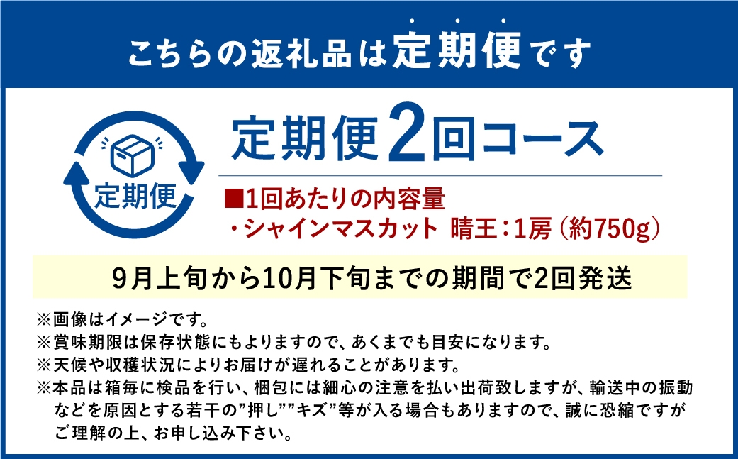【2回定期便】シャインマスカット 晴王 １房 約750g 