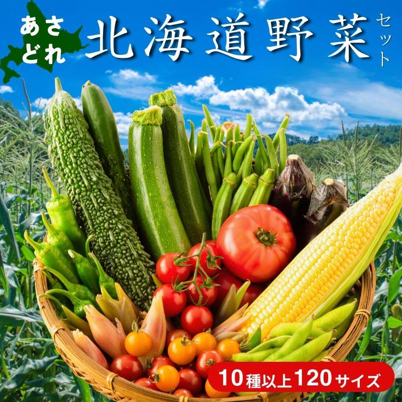 【3回定期便】【野菜ソムリエ厳選】北海道小樽産 旬の活野菜セットL 10種以上 120サイズ
