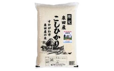 令和6年産米 須賀川市泉田産 コシヒカリ無洗米20kg ブランド米 お米 無洗米 白米 人気 F7X-0268