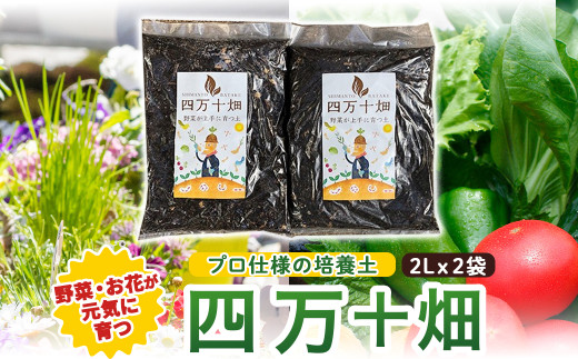 味と収穫量が違う、プロ仕様の培養土「四万十畑」２Lｘ２袋　Fis-A04