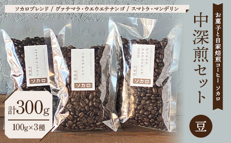 【中深煎セット】 コーヒー豆 100g×3種セット 【お菓子と自家焙煎コーヒー ソカロ】 F21U-635