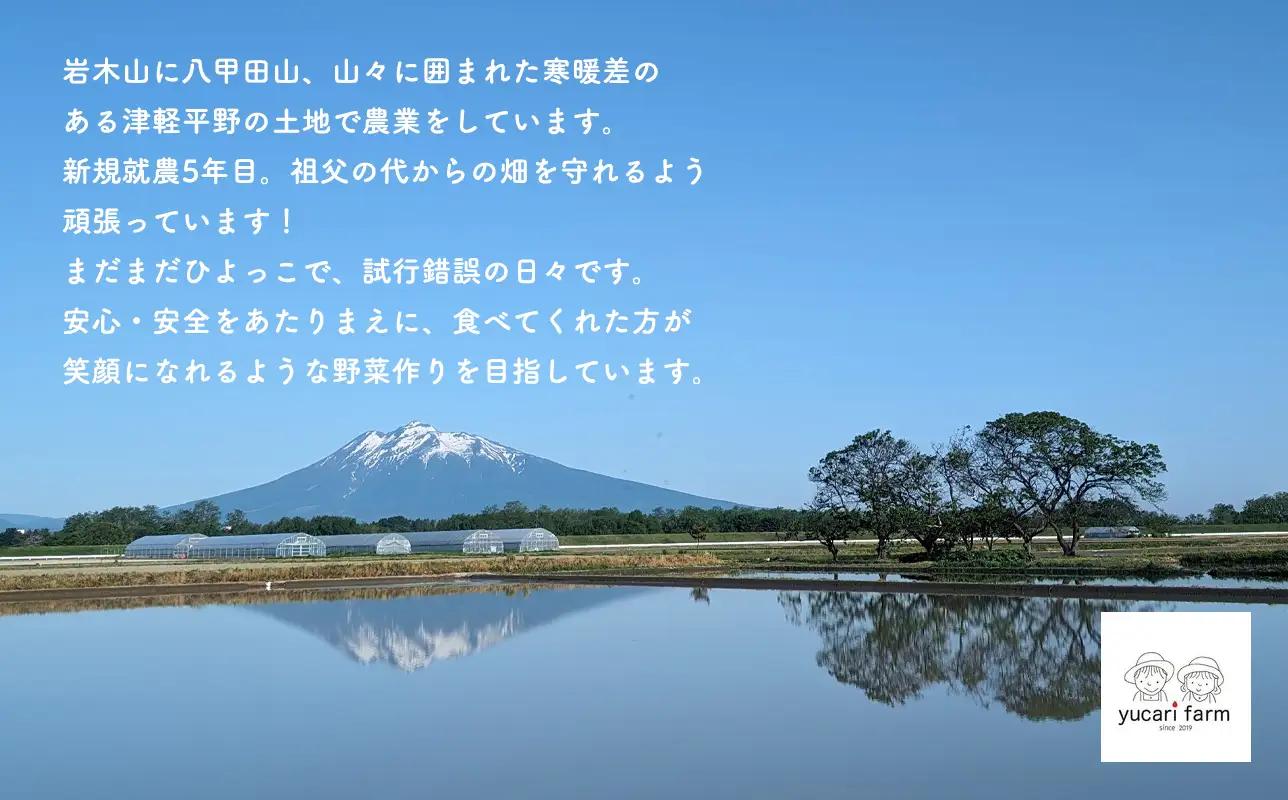 【8月～順次発送】yucarifarmの無添加ミニトマトジュース 180ml×4本 【hi-0040-002】