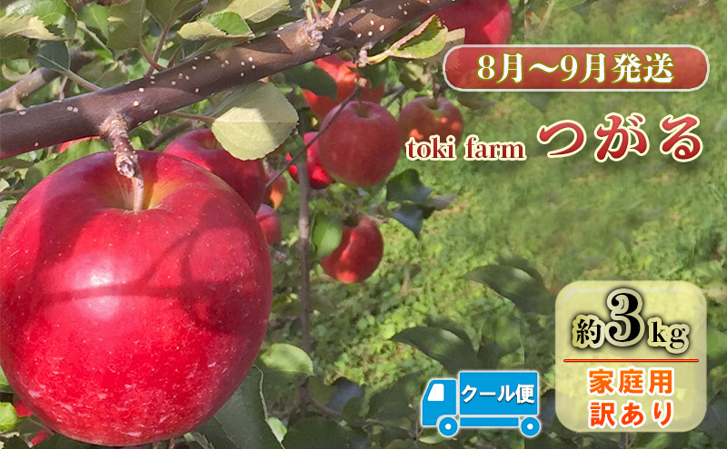 【8月～9月クール便発送】toki farm 家庭用 つがる 約3kg 訳あり【弘前市産・青森りんご】