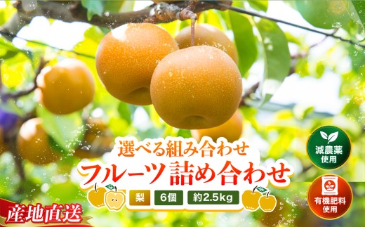 梨詰め合わせ6個 (約2.5kg) | 梨 なし ナシ 和梨 詰め合わせ セット 果物 フルーツ くだもの 大分県産 九州産 大分県 中津市