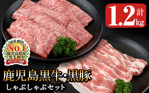 746-2 【年内配送12月1日入金まで】【5等級】鹿児島黒牛・鹿児島黒豚しゃぶしゃぶセット 【  国産 牛肉 豚肉 黒豚 しゃぶしゃぶ用 すき焼き用 豚バラ 牛肉肩ロース】