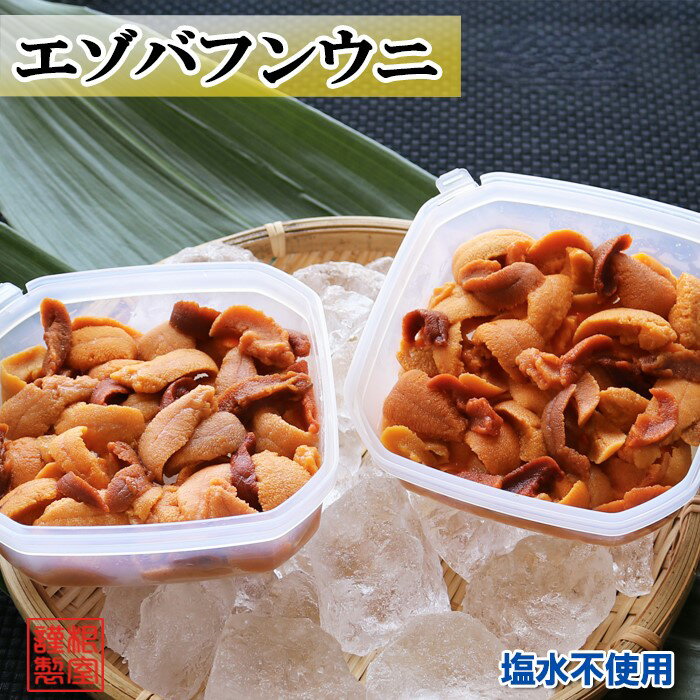 【ふるさと納税】エゾバフンウニケース詰め(赤系)約100～110g×2P[10月下旬以降発送] B-71027