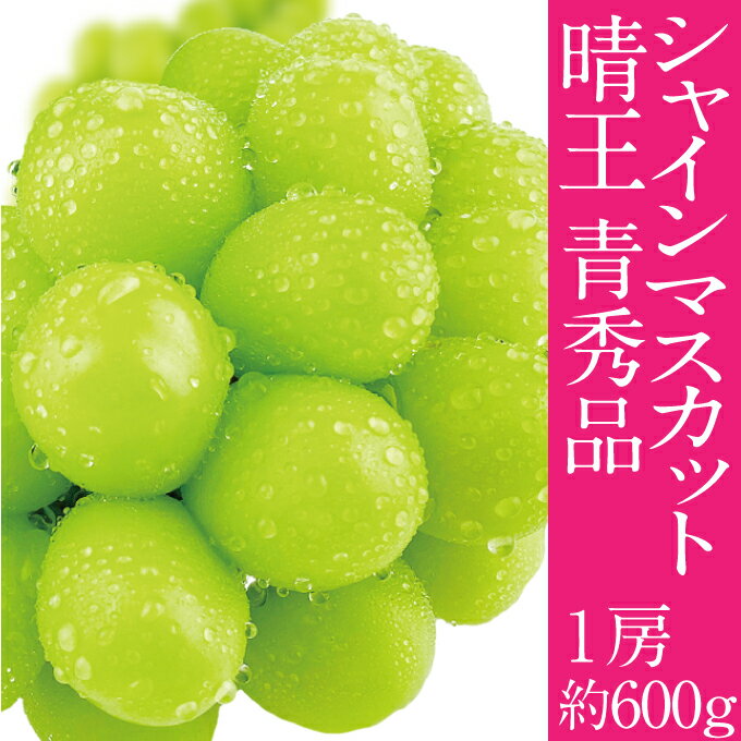 【ふるさと納税】2025年予約受付中 シャインマスカット 晴王 7月～8月出荷 1房 約600g 人気 岡山県産 種無し 皮ごと食べる みずみずしい フレッシュ 晴れの国 おかやま 果物大国 ハレノフルーツ　お届け：2026年7月中旬～2026年8月下旬