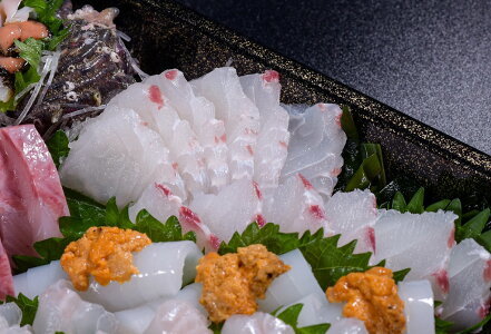 刺身 盛り合わせ 「旬のお刺身盛合せ」冷蔵 刺盛 地魚 2人前 仙崎 新鮮 配達不可エリア有り 新潟 東北 北海道 沖縄 配達不可 配送日時指定必須  (1178)