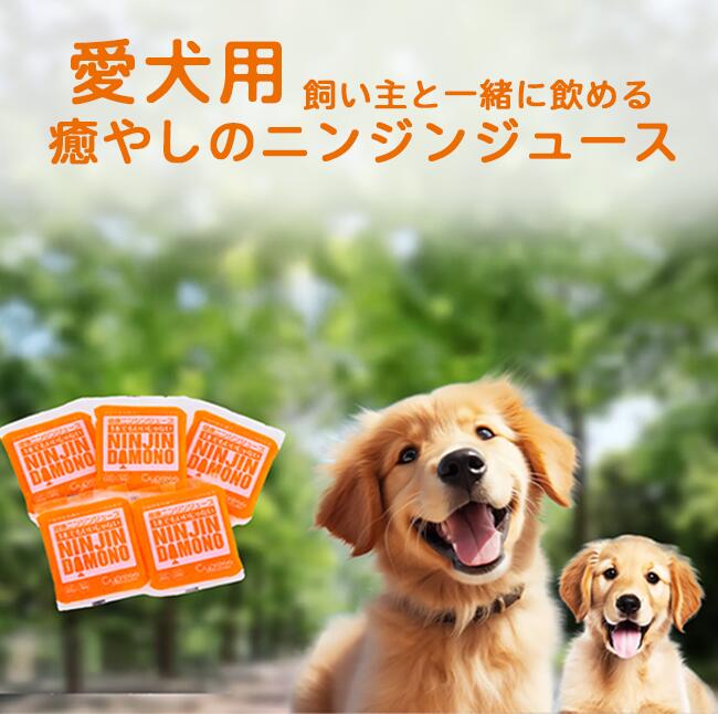 【ふるさと納税】定期便あり【1回、6回、12回】飼い主と一緒に飲める「愛犬用」癒やしのニンジンジュース | 茨城県 つくば市 ジュース ドリンク 飲料 水分補給 にんじん 人参 ニンジン 人参ジュース にんじんジュース キャロットジュース 愛犬 ペット ペットフード
