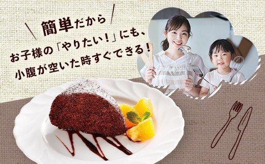 グルテンフリー ケーキ ミックス ココア 80g×20袋 1.6kg 