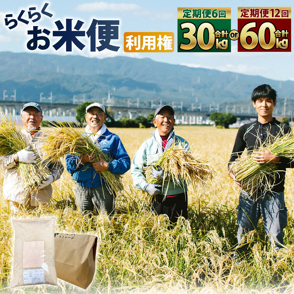 【ふるさと納税】＜選べる定期便回数＞らくらくお米便 利用券 選べる夢つくし・元気つくし 半俵コース（30kg） / 一俵コース（60kg） 定期便 6回 12回 1回あたり5kg お米 米 こめ 夢つくし 元気つくし 精米 玄米 ごはん ご飯 福岡県産 国産 福岡県 糸田町 送料無料
