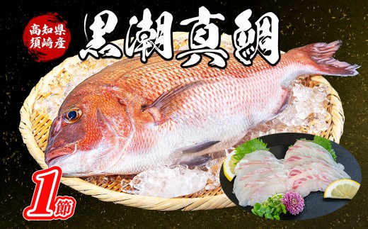 養殖真鯛  1節 皮付き ロイン 真鯛 マダイ 鯛 刺身 さしみ お刺身用 柵  食べきりサイズ 下処理済み 鯛しゃぶ 鯛めし 鯛茶漬け カルパッチョ  海鮮 魚介類  ギフト 三枚おろし 産地直送 高知県 須崎市産