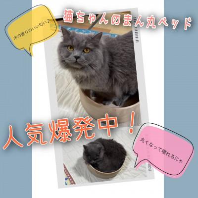 ふるさと納税 南木曽町 猫ちゃんのまん丸ベッド |  | 03