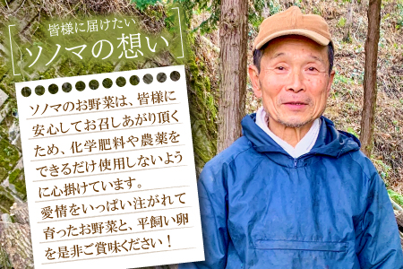 B-810 【3回定期便】季節のお野菜と平飼い卵のセット (8～10品)