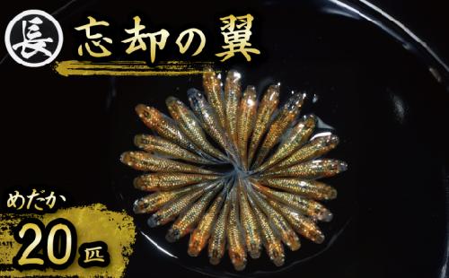 忘却の翼 オス ・ メス ランダム 20 匹 めだか 飼育 初心者 おすすめ 水槽 インテリア 生物 生体 趣味 室内 メダカ 元気なメダカ ヒレ長メダカ ラメ オレンジ 黄色  生魚 魚 めだか 生き物 いきもの 人気品種 厳選 鑑賞 鑑賞用 繁殖 綺麗 きれい 丈夫 育てやすい 美 国産 めだか メダカ プレゼント 贈答用 ギフト 品種 人気 送料無料 飼育初心者 静岡県 牧之原市 丸長