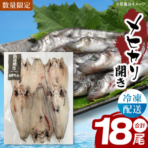 メヒカリ開き【めひかり 目光 魚 海産物 茨城県 北茨城市 冷凍 惣菜 おかず おつまみ】(CU009)