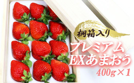 
3LA3　ティッシュボックス用特別仕様の桐箱入りプレミアムあまおう　あまおうEX400g×1パック
