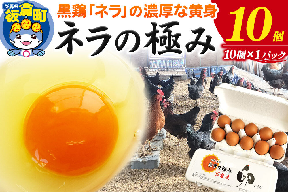 ネラの極み 卵 たまご 10個（10個×1パック） [ネラの極み 卵 たまご 玉子 タマゴ 黄身 濃厚 コク オランダ原産 黒鶏 群馬県 板倉町]