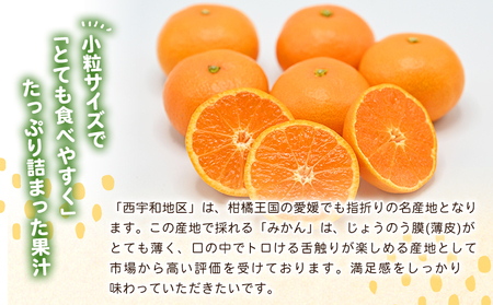 先行予約＜愛媛県西予市産 温州みかん 小粒サイズ 家庭用 約3.2kg＞ 愛媛県産 西宇和 小玉 小さめ 家庭用 果物 フルーツ 柑橘 うんしゅうみかん ウンシュウミカン オレンジ ミカン 蜜柑 訳あ