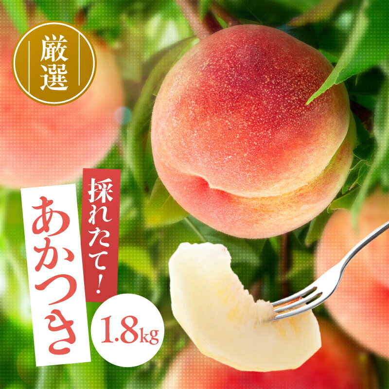 【ふるさと納税】長野県産 桃あかつき 約1.8kg 糖度13度以上　【2025年7月より順次発送】 | 果物 くだもの フルーツ 桃 モモ もも あかつき 新鮮 長野県 信州 南信州 飯田市 H30