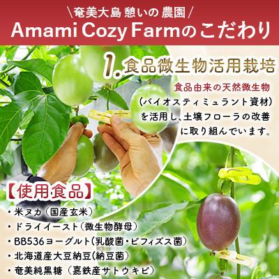 ふるさと納税 瀬戸内町 期間限定【農薬不使用】奄美大島 完熟パッションフルーツ 約2kg(農家直送)家庭用 |  | 01