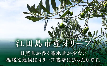 希少な国産オイル！【11月中旬から順次発送】江田島産 オリーブ 塩水漬け マンザニロ種 4つセット（瓶タイプ）  塩漬け サラダ 簡単 レシピ 広島県産 江田島市/瀬戸内いとなみ舎合同会社[XBB00