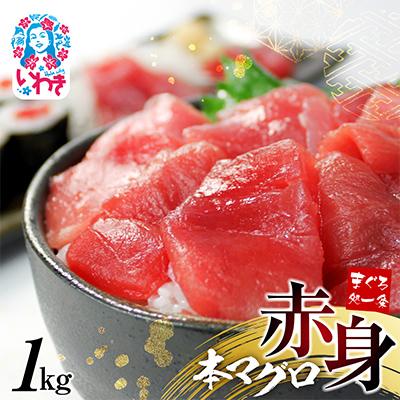 ふるさと納税 いわき市 本マグロ赤身 約1kg 解凍レシピ付 1サクずつ真空包装