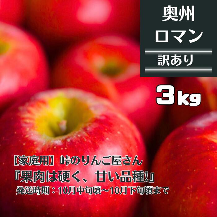 【ふるさと納税】先行予約 峠のりんご屋さん 奥州ロマン 3kg（10〜12 玉入り） 家庭用