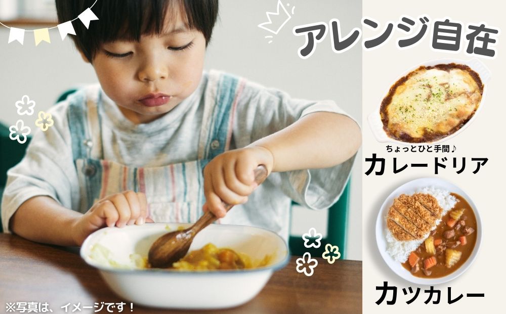 定期便 3ヶ月 農家のたっぷり野菜カレー 30個 月1回 ／ふるさと納税 山口農園 有機野菜 オーガニック 伝統野菜 レトルト 詰め合わせ ギフト カレーセット スパイス 飯 キャンプお取り寄せ 奈良