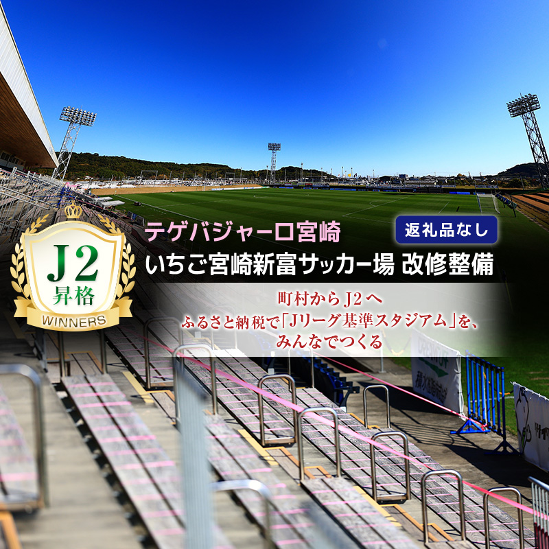 ＜テゲバジャーロ宮崎＞ J2昇格 応援 スタジアム 改修整備 1口 30,000円 いちご宮崎新富サッカー場 サッカー Jリーグ J2 スポーツ 社会貢献 応援寄附 名前 刻印 返礼品なし【S27】