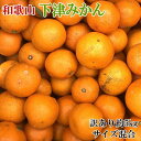 【ふるさと納税】【訳あり】和歌山下津みかん約5kgご家庭用向け(サイズ混合)　※2024年11月中旬～1月中旬頃順次発送予定（お届け日指定不可