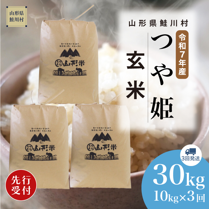 ＜令和7年産米先行受付＞ 鮭川村産 特別栽培米 つや姫 【玄米】30kg 定期便 (10kg×3回) 　配送時期指定できます！