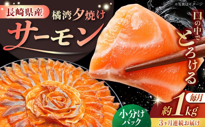 
            【全3回定期便】 長崎県雲仙産 橘湾夕焼けサーモン 約1kg 長崎県/株式会社天洋丸 小分け 養殖 サーモン 国産 [42ALAC007]
          