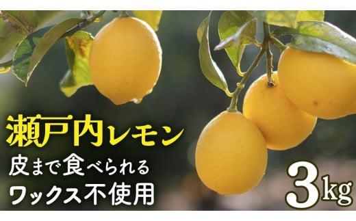 せとうちレモン 約3kg 12～1月発送 瀬戸内 国産 レモン 瀬戸内レモン 檸檬 柑橘 防腐剤 ワックス 不使用 皮まで丸ごと食べられる 広島県 大崎上島町 離島 産地直送 岩﨑農園