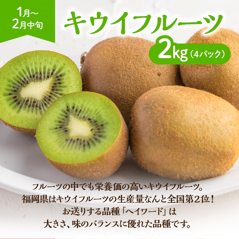 【定期便/年4回】JAむなかた厳選!人気のフルーツ定期便【ほたるの里】_HB0140