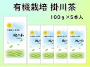 【ふるさと納税】お茶 緑茶 有機栽培 オーガニック 掛川茶　100g×5本　浅蒸し茶　 佐々木製茶〔 浅蒸し 緑茶 静岡 掛川茶 茶葉 〕