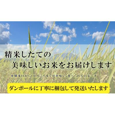 ふるさと納税 盛岡市 【毎月定期便】精米 つきあかり 5kg全3回 |  | 03