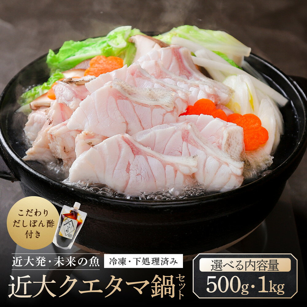 【ふるさと納税】【選べる内容量・配送時期】近大クエタマ鍋セット （500g or 1kg） | くえたま くえ たまかい クエ 魚 魚介類 鍋セット 鍋 海鮮 人気 おすすめ 送料無料 白浜町 くえたま鍋 海鮮鍋 魚介加工品 和食 ふるさと納税 近畿大学水産研究所 だしぽん酢付き