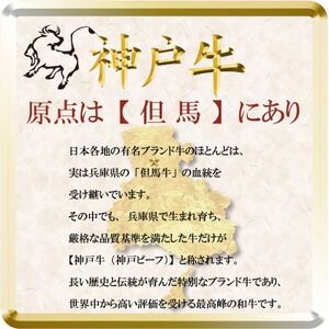 神戸牛 お肉三昧セット 計1.5kg TSLS10 【2026年4月より順次発送】【配送不可地域：離島】【1682643】