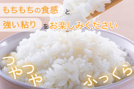【R7年産 新米 】多良木町産 にこまる 5kg 均ちゃん農園 令和7年 新米 熊本県 米どころ 多良木町 精米 新米 白米 ご飯 お米 うるち 米 008-0670