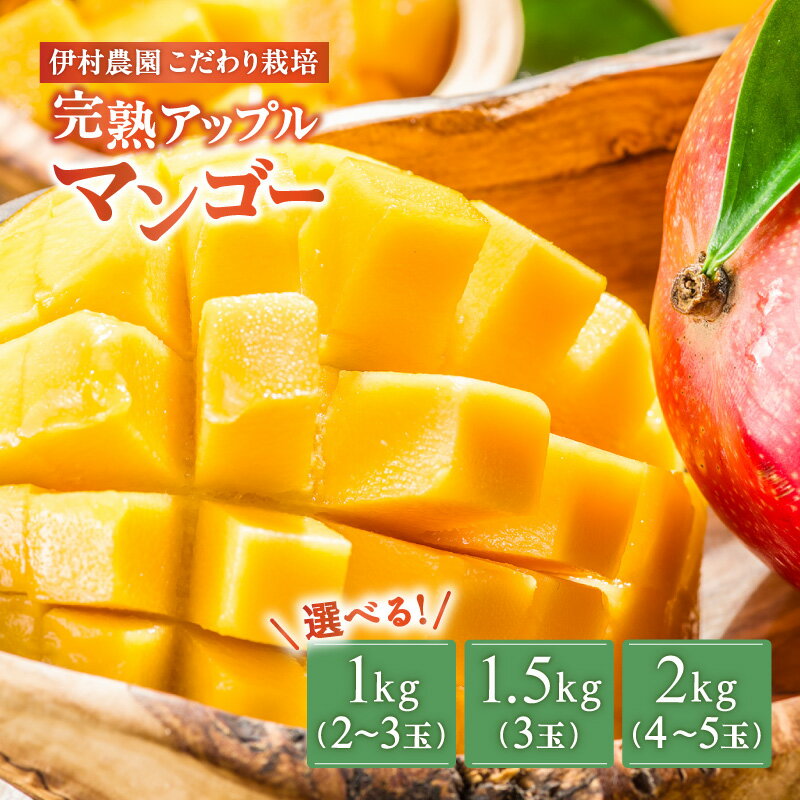 【ふるさと納税】【2026年先行予約】＜選べる＞ 完熟アップルマンゴー 1kg 〜 2kg 2玉 〜 5玉 伊村農園 こだわり栽培 沖永良部産 数量 期間 限定 予約 マンゴー 果物 フルーツ 完熟 アップルマンゴー 国産 鹿児島 和泊町 沖永良部 おすすめ ランキング プレゼント ギフト