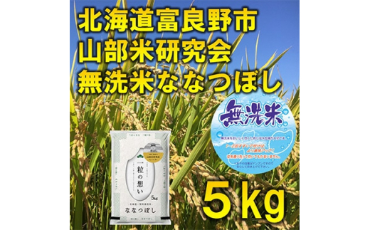 
＜毎月定期便＞＜無洗米＞特A受賞!富良野市産ななつぼし　精米5kg全3回【4007417】
