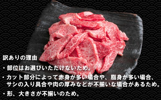 【訳あり】神戸牛 焼肉用（不揃い） 800g TKY1-2 [1205]