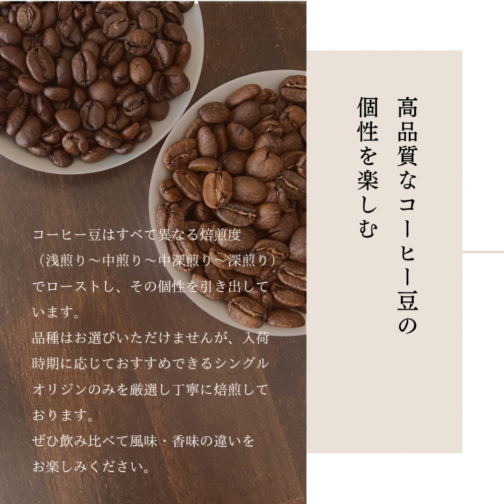 【定期便：6ヶ月連続でお届け】シングルオリジンコーヒー 100g × 3品種（中挽き）計300g×6ヶ月