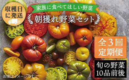 【全3回定期便】【福岡県 糸島産】朝採れ 野菜 セット（10品前後) 《糸島》【オーガニックナガミツファーム】 [AGE006] 野菜セット 野菜セット 野菜セット 野菜セット 野菜セット 野菜セット 野菜セット 