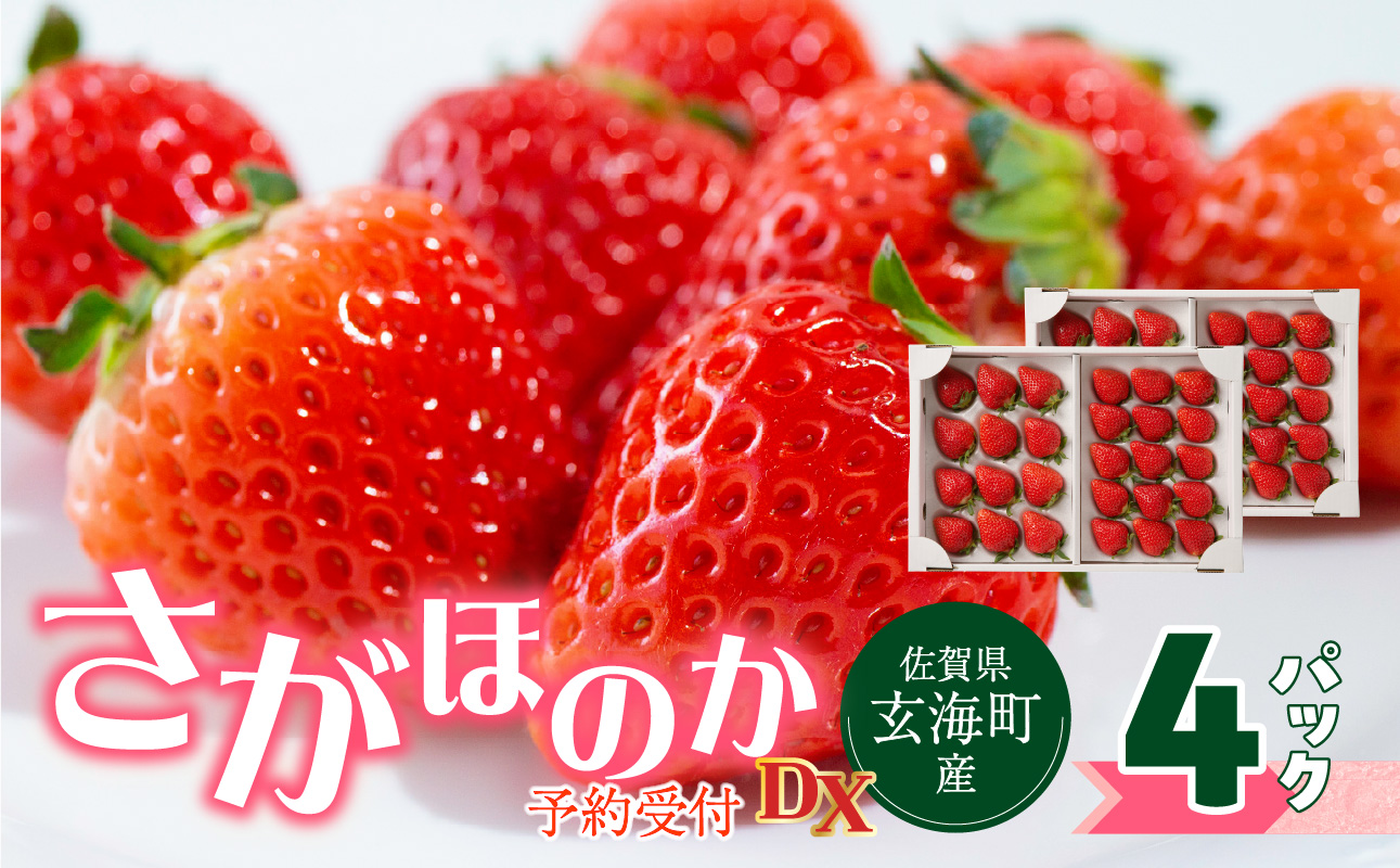 ★予約受付★佐賀県玄海町産さがほのかDX　2025年1月〜4月にお届け