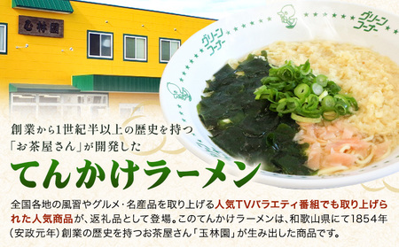 ラーメン てんかけラーメン 12食 玉林園