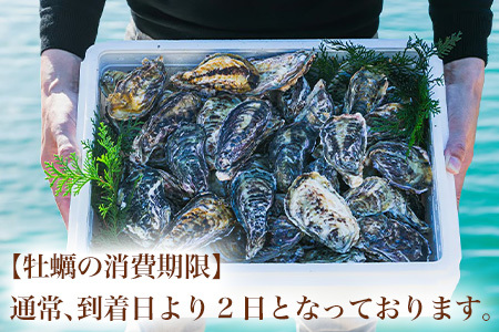 『先行予約』【12月中旬より順次発送】唐津産 殻付きいろは牡蠣 6kg(軍手・ナイフ付)期間限定 産地直送 殻付き 牡蠣 カキ 殻付き牡蠣 佐賀県 海鮮 BBQ 加熱用 お取り寄せ 贈り物 冬ギフト