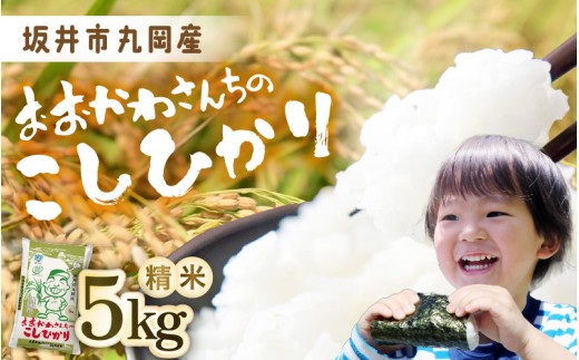 数量限定 おおかわさんちのこしひかり 5kg (なくなり次第終了) 【令和7年産】 コシヒカリ こしひかり 白米 米 お米 kome 5キロ 精米 ブランド米 ごはん ご飯 おいしい 人気 産地直送 国産 [A-10816]